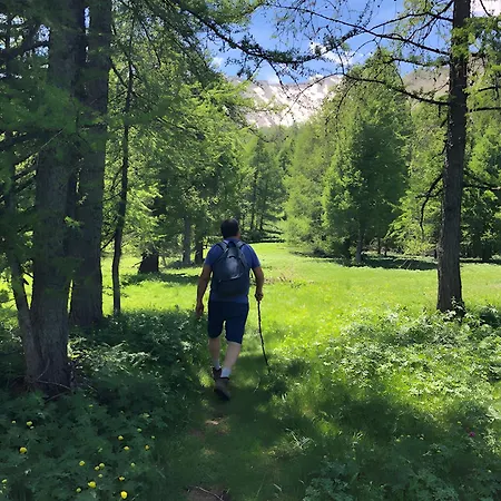 Διαμέρισμα La De La Foux D'allos *