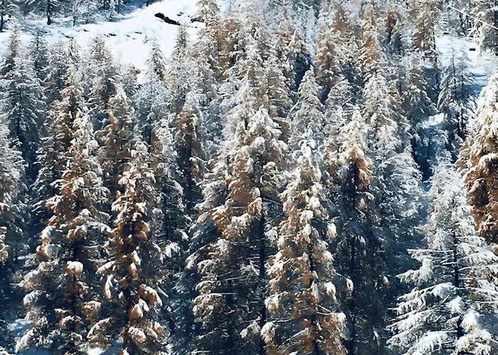 La De La Foux D’allos Appartement