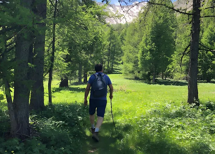 Appartement La De La Foux D’allos *